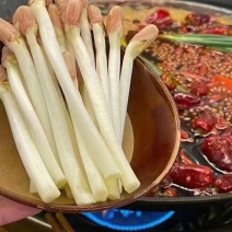 精品安徽滁州花生芽，大量供应爽脆多汁，量大从欢迎电话咨询