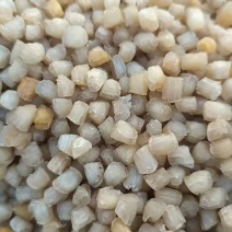 干贝粒200粒到1000粒不等，一手货源，品质保证