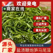 新鲜鞭炮笋盐渍马尾藻5斤（餐饮商用批发）