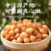 桂圆肉无壳桂圆干无核龙眼肉桂圆肉桂圆肉补