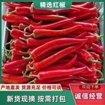 【推荐】红尖椒大量有货需要的老板联系，面向全国发货