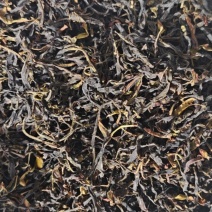 野生古茶