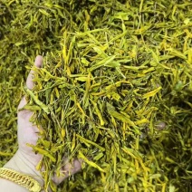 黄金芽批发