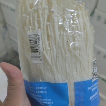 新鲜一级菇