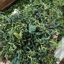 蒲公英叶干货散装泡水喝量大从优