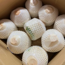 海南椰青，接一件代发、批发！椰子鸡、清补凉！