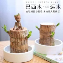 巴西木花盆格鲁特桌面创意个性摆件多肉花盆盆栽树脂可爱卡通包邮