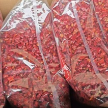 商丘魔鬼辣椒辣椒段，大量供货质量为先，诚信经营，欢迎选购