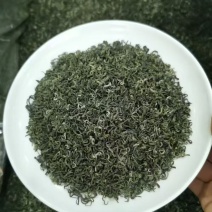 高山毛尖