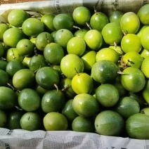 【量大从优-钦蜜9号】甄选广西百香果品质保障