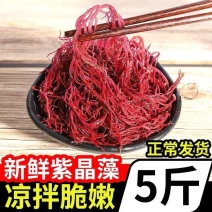 包邮【5斤海草龙须菜】龙须菜海草海石花鹿角菜海藻菜丝凉拌