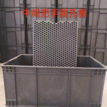 花生水培箱中间把手圆孔板子芽苗菜种植工具**款