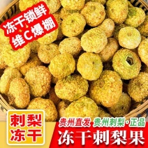 贵州冻干刺梨源头产地直发（紧缺货源存量3吨）