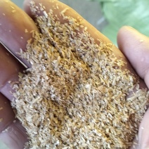 卖稻壳粉