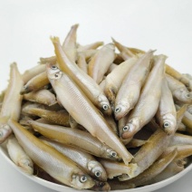 公鱼小龙鱼特色食材规格齐全一手货源对接批发零售酒店餐饮