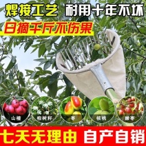 摘酸枣专用工具摘柏树籽大枣山楂茶油果女贞子白果