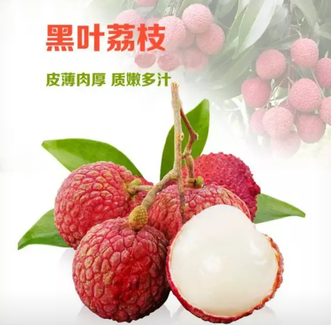 [黑叶荔枝批发]广西河池凤山县荔枝 1.50元/斤广西黑叶荔枝 _ 一亩田