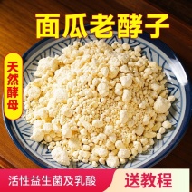 老面酵子面瓜曲天然酵母粉做馒头包子发糕油条老味发酵粉