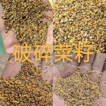 菜籽下脚料