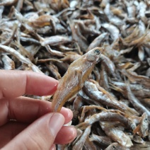 油炸白肖/开肚/鱼干/干货/小白条/水库鱼/河鱼/包邮