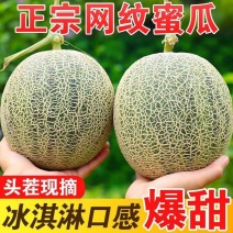 【精品】山东产地直发网纹蜜瓜对接各大平台，量大从优