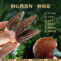 滇二娃农科院羊肚菌灵芝菌汤包菌菇汤料包干货虫草花火锅煲汤食材