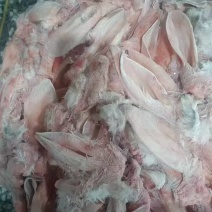 带毛兔耳朵厂家货源充足带毛脸皮兔耳朵需要随时联系