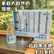 天然白桦树汁nfc一整箱玻璃瓶高档饮料源自黑龙江大兴安岭白桦
