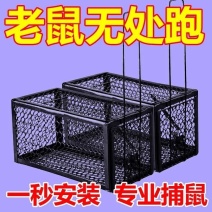 老鼠笼子