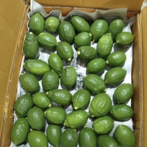 每日可供应1/2级香水柠檬2w斤