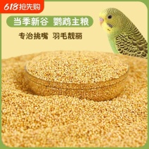 带壳黄谷子红谷子鸟粮鹦鹉玉鸟金丝雀新粮过疯过筛干净无杂