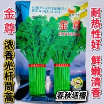 金尊浓香光杆茼蒿种子耐热耐寒蔬菜籽口感细嫩清脆皇帝菜春秋