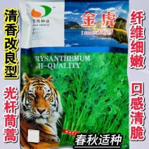 德赛金虎清香茼蒿种子光杆茼蒿种子纤维细嫩口感清脆皇帝菜春