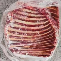 马排
