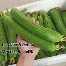 香丝瓜，全国发货，保质保量，可对接各大电商商超等