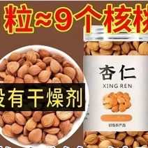 新疆杏仁去壳甜杏仁大扁杏仁正宗甜杏仁原味杏仁坚果杏仁批发