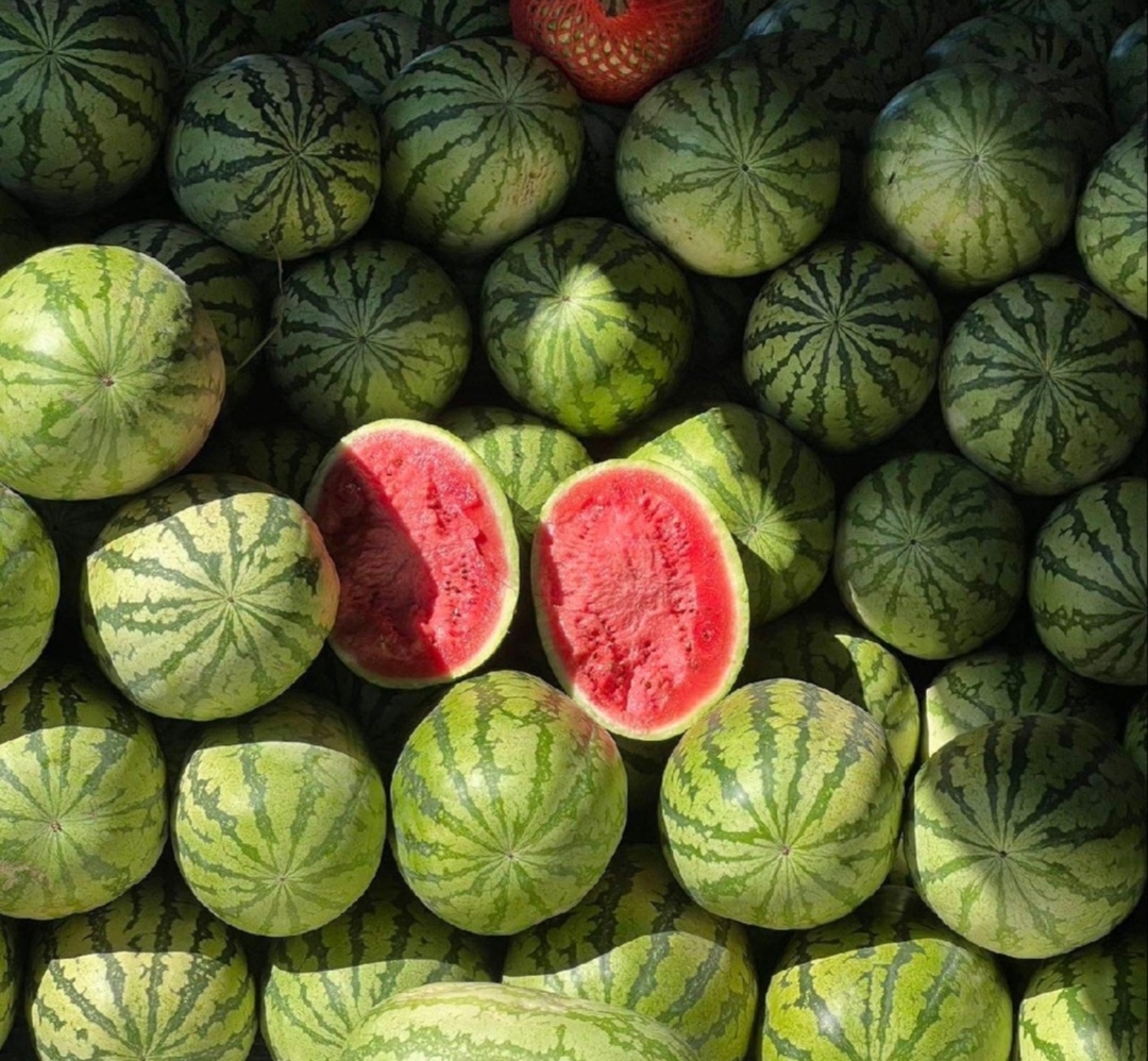 金城5号西瓜水果拼盘