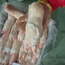 二级调理小猪蹄30-40个