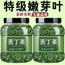 小叶苦丁茶贵州余庆嫩芽正宗小叶苦丁罐装青山绿水新货苦丁茶批发