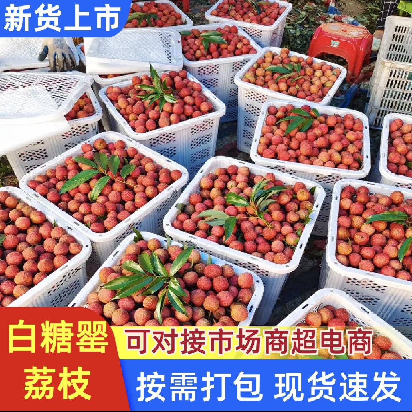 [妃子笑批发]广东茂名高州市荔枝 3.00元/斤广东茂名荔枝代办 _ 一亩田