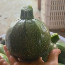 圆南瓜