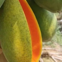 红心木瓜