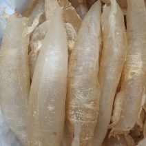 北海胶北海筒胶鱼胶花胶鳘鱼胶产地源头直供一手代理货源