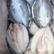品名：鲈鱼（纯干）规格：一箱18-20斤左右。9.10.