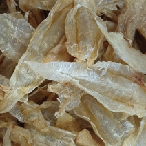 北海胶北海筒胶鱼胶花胶鳘鱼胶产地源头直供一手代理货源