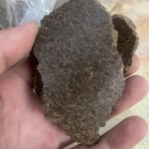 花生饼物理发酵水肥后用于种植瓜果蔬菜香甜可口