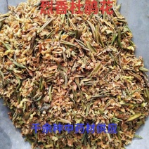 中药材杜鹃花烈香杜鹃花西藏特产烈香杜鹃花正品气味浓郁