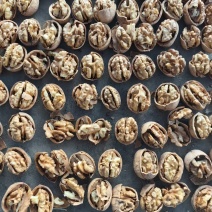 新疆185纸皮核桃今年新货薄皮核桃新疆喀什地区