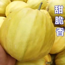 丑八怪香瓜甜瓜脆瓜湖北丑八怪可视频看货一手货源