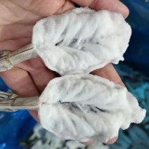 开背虾仁青虾仁蝴蝶虾虾肉去壳开背水煮汉虾凤尾虾水晶虾仁
